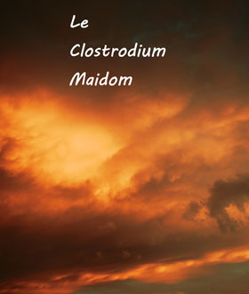 Le Clostridium Maidom